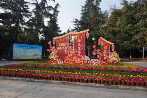 新春园林爆料视频完整版,视频完整版带你领略园林之美